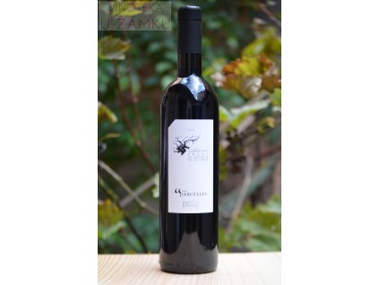 Cabernet Franc "Nos Parcelles" 2020 - Domaine Bassac