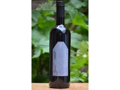 Chiasso 2023 - Pasolini dall Onda