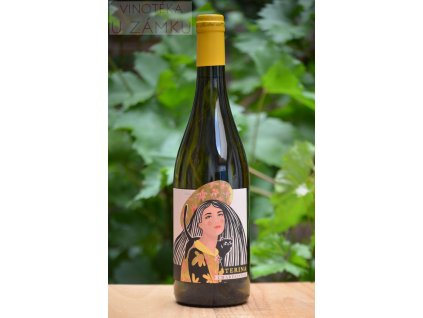 Caterina 2023 - Pasolini dall Onda