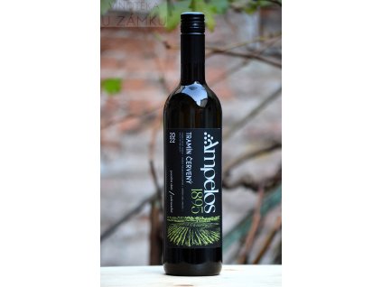 Tramín červený š.2212 - Ampelos - Šlechtitelská stanice vinařská Znojmo