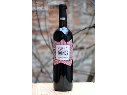 Roble 2019 - Dominio de Bornos