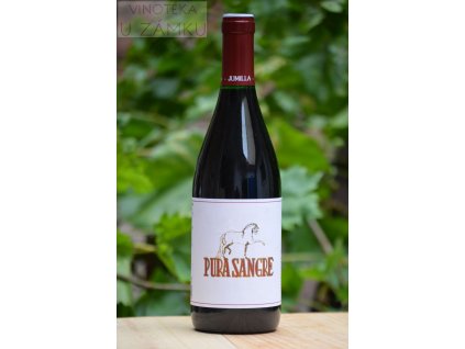 Pura Sangre reserva 2016 - Asensio Carcelén