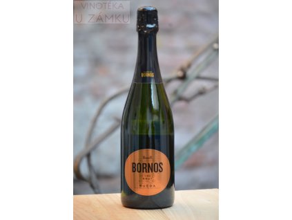 Sekt Brut Verdejo - Palacio de Bornos