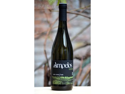 Veritas š.2315 - Ampelos - Šlechtitelská stanice vinařská Znojmo