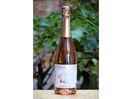 Domini del Leone Prosecco rosé DOC - Fidora