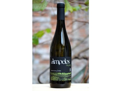 Pálava š.2310 - Ampelos - Šlechtitelská stanice vinařská Znojmo