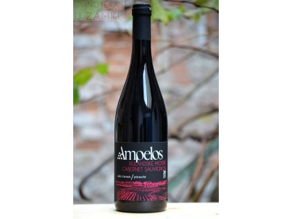 Rulandské modré - Cabernet sauvignon š.2138 - Ampelos - Šlechtitelská stanice vinařská Znojmo