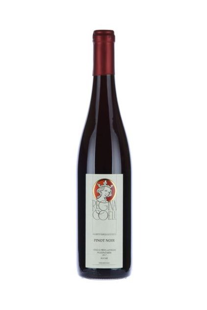 Pinot Noir 2017 ps  2017 | pozdní sběr | suché