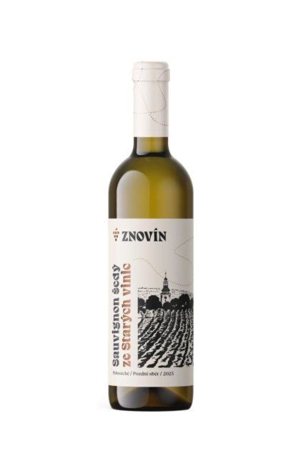 ZNO.0485 Sauvignon šedý
