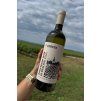 ZNO.0485 sauvignon šedý