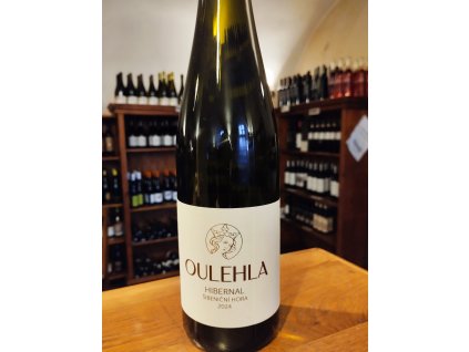 Luboš Oulehla Hibernal 2024 Šibeniční hora