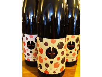 Vinařství rodiny Špalkovy Zweigeltrebe 2024 kabinet