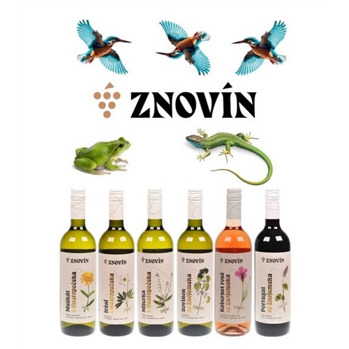 Znovín v novém kabátku