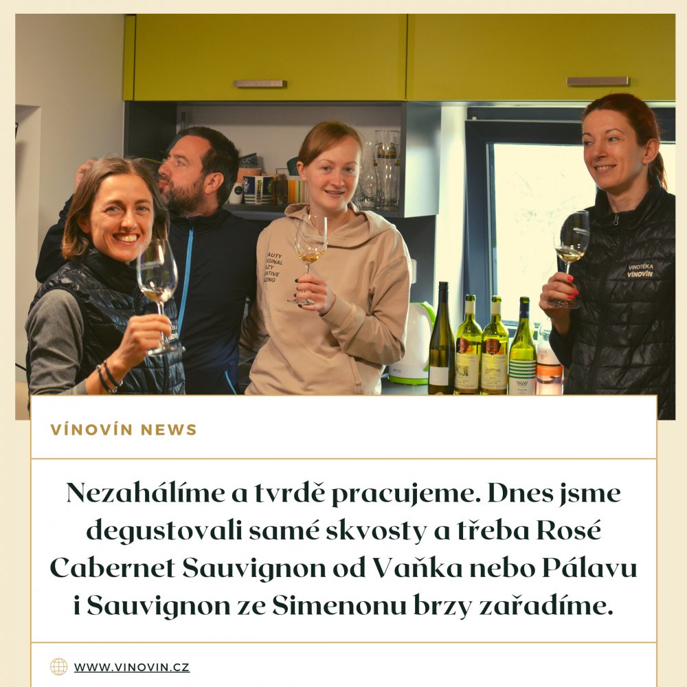 Degustace nových vín