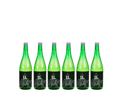 Šest litrovek suchého Veltlínu z vinařství HAGN, AT