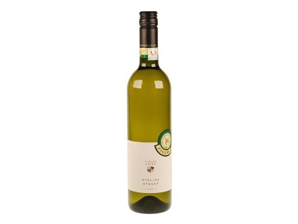 Ryzlink rýnský, VOC, suché víno, 2024 – Piálek & Jäger