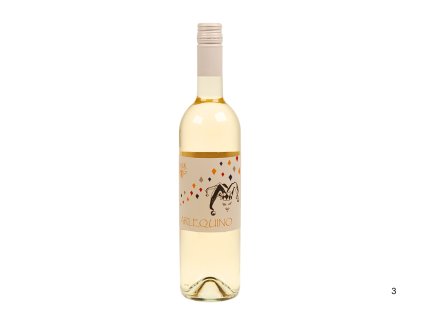 Pohled přední na láhev Muškát Ottonel, pozdní sběr, polosuché víno, 2024 – Vaněk