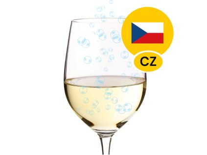 Přední pohled na láhev Sklenice bílého frizzanté