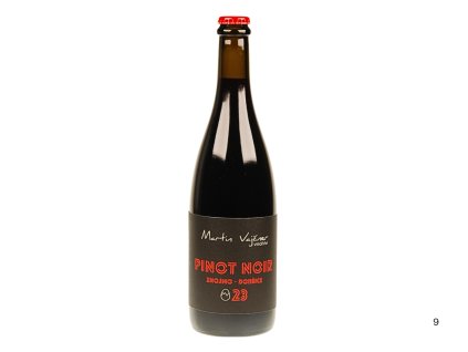 Pinot Noir, zemské víno, suché víno, 2023 – Vajčner