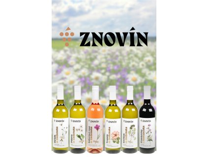 Rozkvetlé vinohradské květy - karton vín ze Znovínu