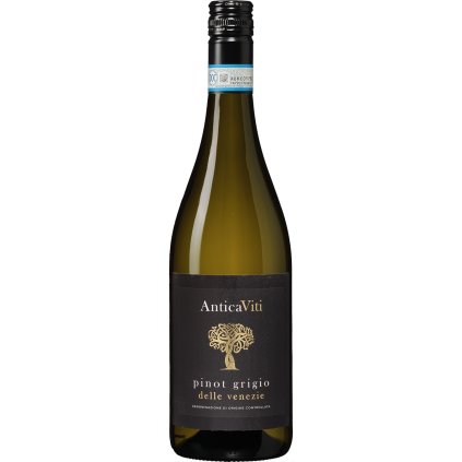 Antica Viti Pinot Grigio delle Venezie