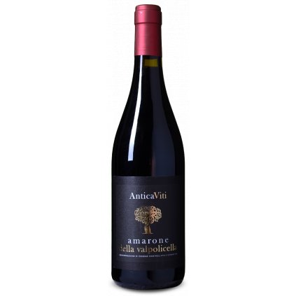 Antica Viti Amarone della Valpolicella DOCG