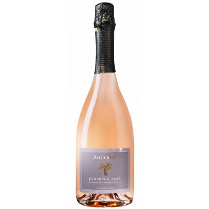 Antica Viti Prosecco Rosé DOC Vino Spumante Dry Millésimato