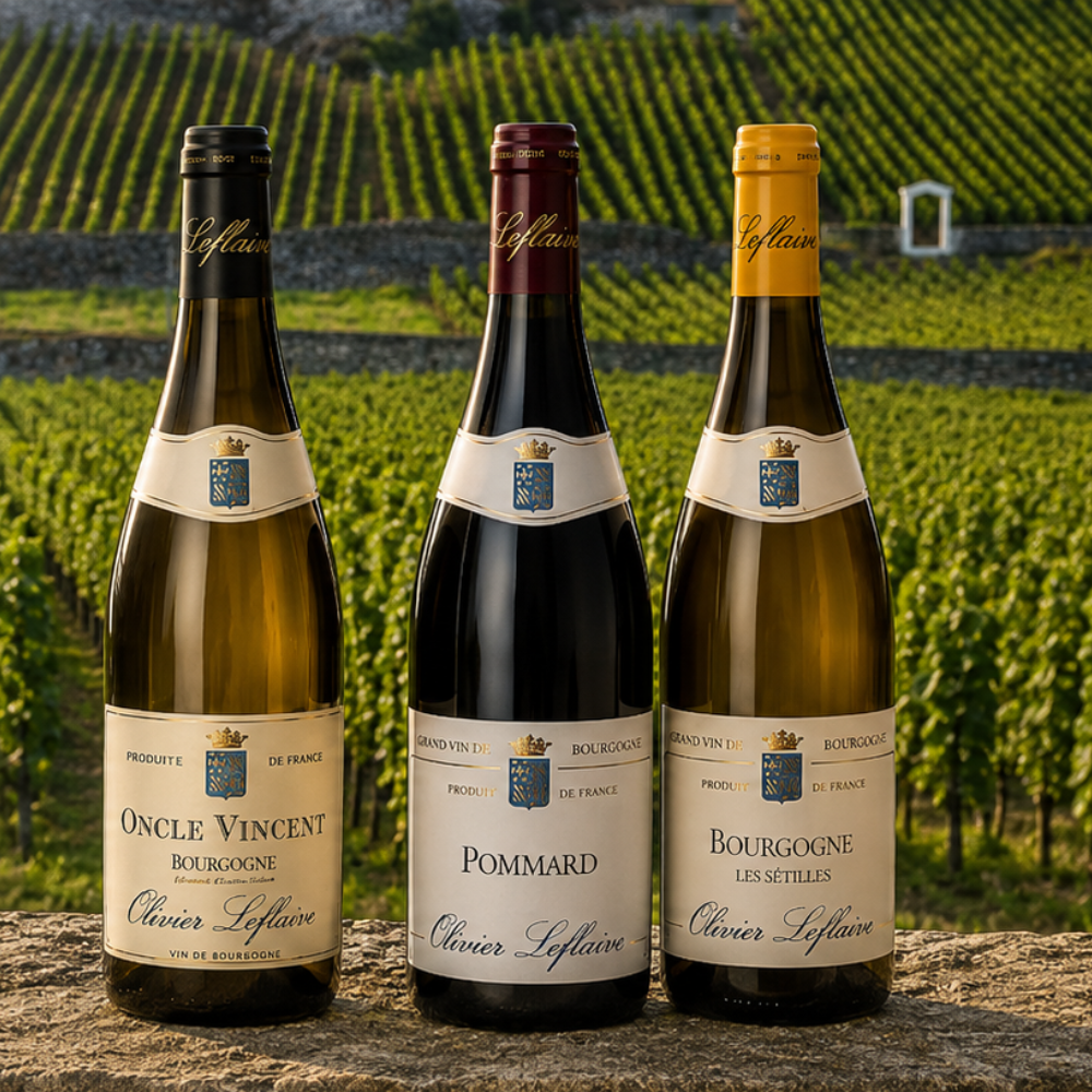 Olivier Leflaive: burgundské vinařství z Puligny-Montrachet