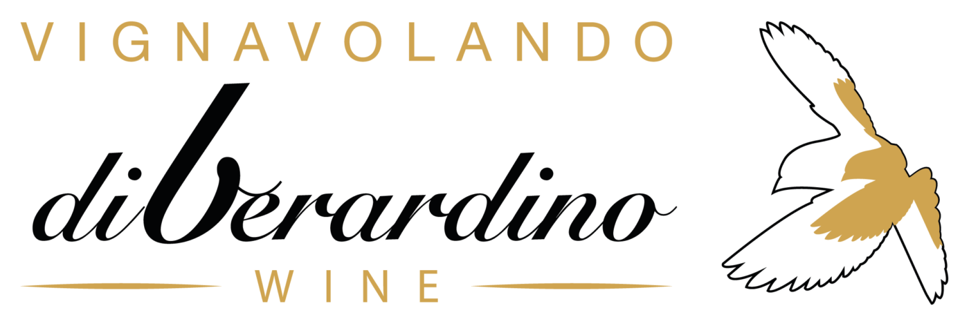 logo-vignavolando-wine-04-1400x472