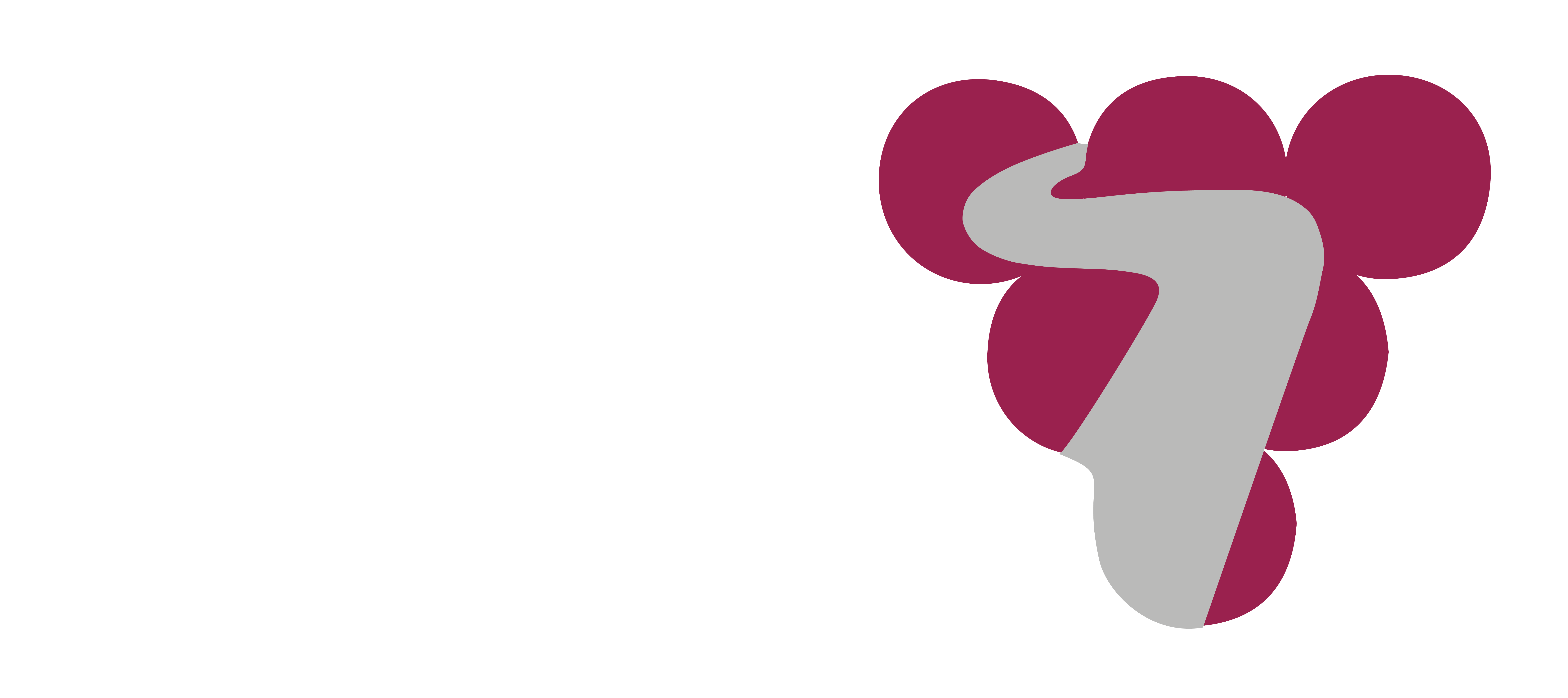 Víno z cest