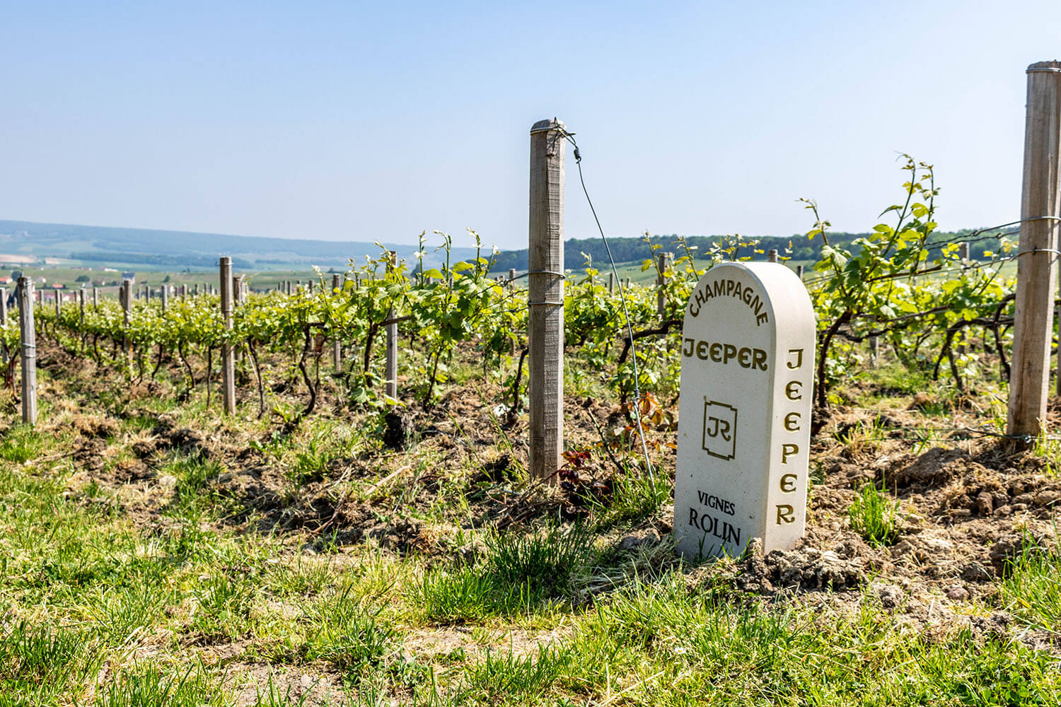VINAŘSTVÍ JEEPER - Historie