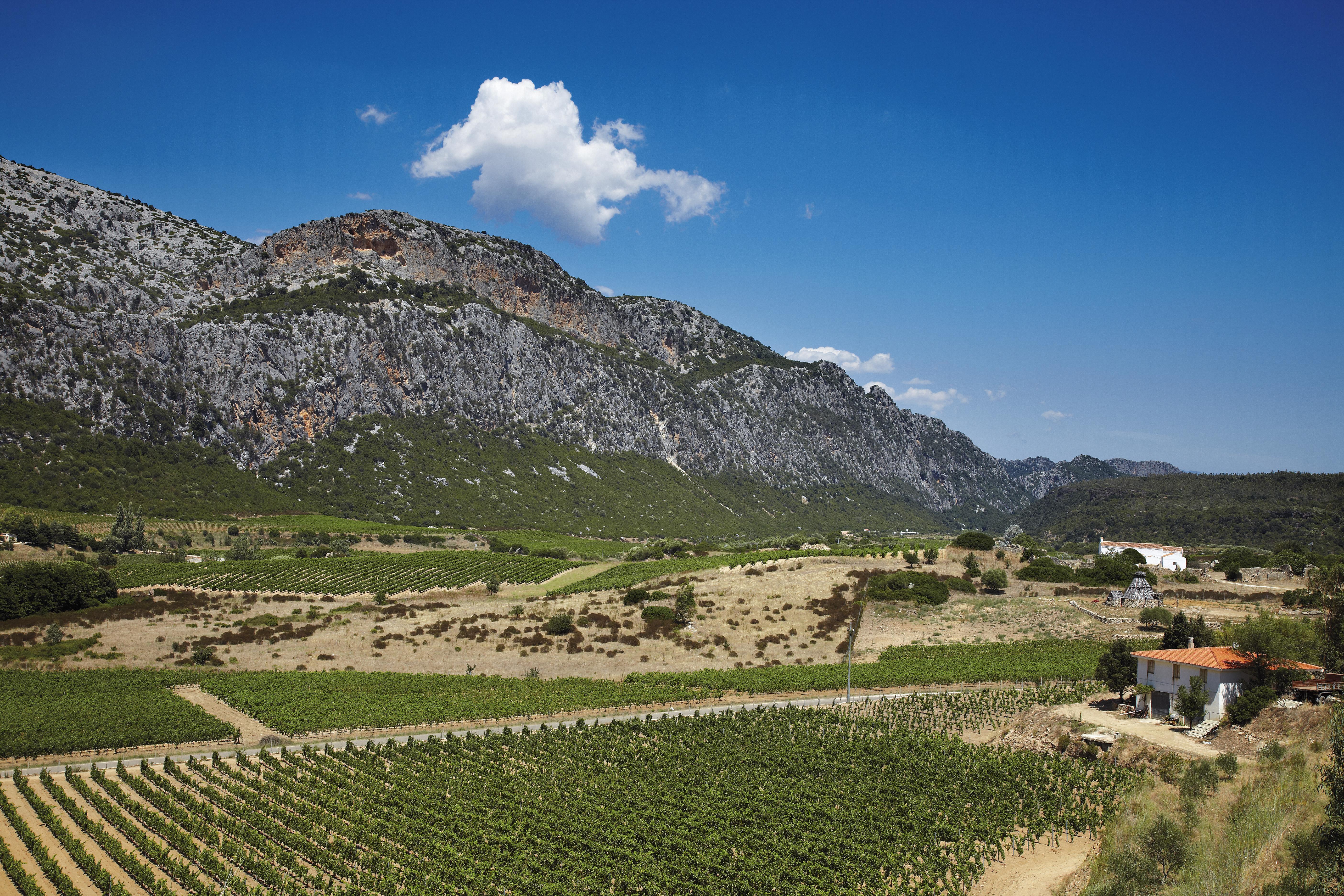 Cantina Sociale Dorgali