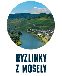 Ryzlinky z Mosely