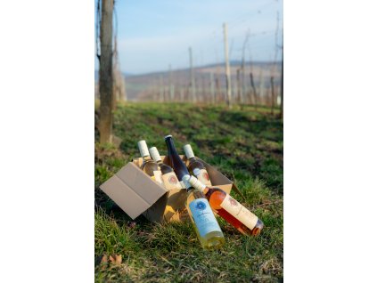 bio-jarni-bedna-plna-vina-z-hornacka