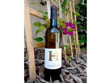 Chardonnay Víno Holub Ladná Víno z mikrovinařství
