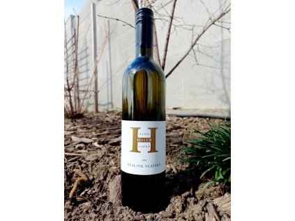 Sauvignon 2021 www.vinozladne.cz Víno z mikrovinařství