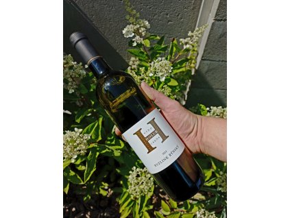 Veltlínské zelené www.vinozladne.cz Víno z mikrovinařství