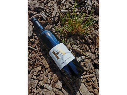 Chardonnay (MZV) 2022 www.vinozlande.cz Mikrovinařství Víno Holub Ladná
