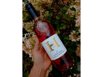 Sauvignon www.vinozladne.cz mikrovinařství ročník 2019
