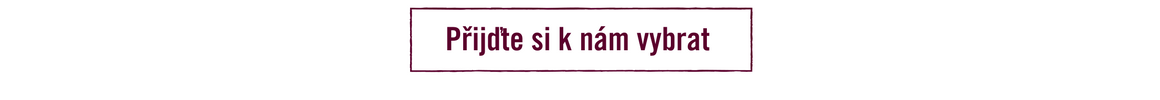 PRIJDTE DO PODSKALI PRO VINO