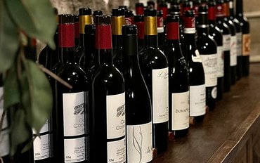 "TOUR DE FRANCE" s Tomášem Domincem