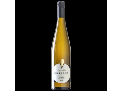 GRYLLUS bílý 2019 kabinet BIO ŠPALEK - bílé víno, suché