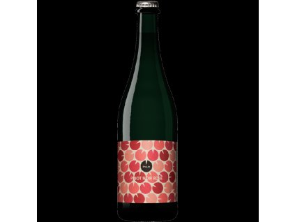 PÉT-NAT PINOT NOIR ROSÉ 2022 BIO MZV ŠPALEK