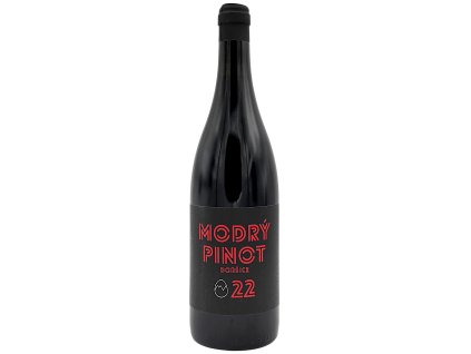 MODRÝ PINOT 2022 MARTIN VAJČNER