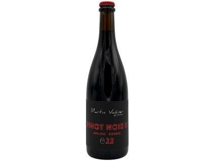 PINOT NOIR 2022 Dobšice II MARTIN VAJČNER