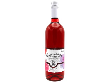 Rosé Zweigeltrebe, první víno 2024 zemské, LECHOVICE - růžové víno, polosuché