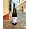 Grüner Veltliner 2025 Rustenberg, KLEIN - bílé víno, suché