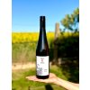 Riesling Steinberg 2025, KLEIN - bílé víno, suché