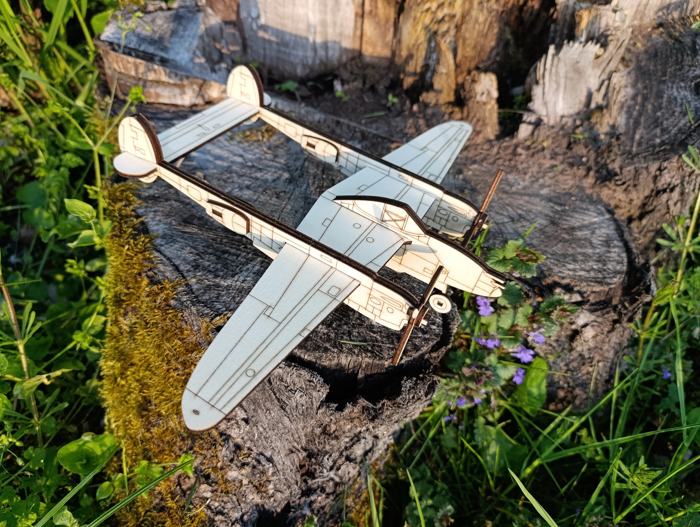 P-38