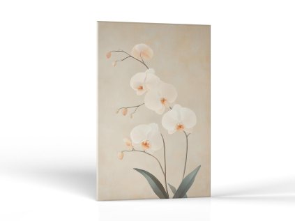Orchideová nežnosť | Obrazy Vintessia